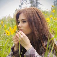 Отзыв от Аврора - виза ДТВ